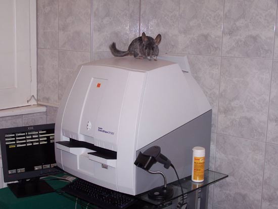 KODAK DI R E C T V I E W CR 500 System